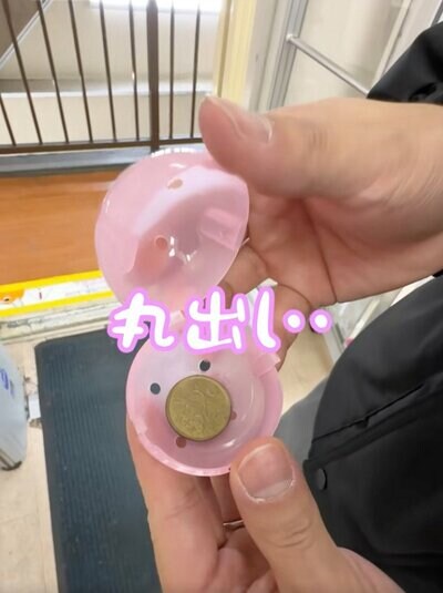 カプセルの中に入った古銭