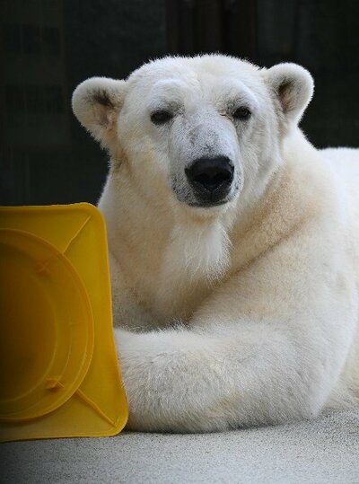 愛媛県立とべ動物園