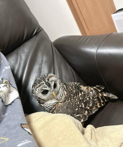 投稿動画のワンシーン