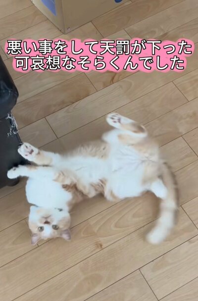 「どうしよう…」と困ったような表情