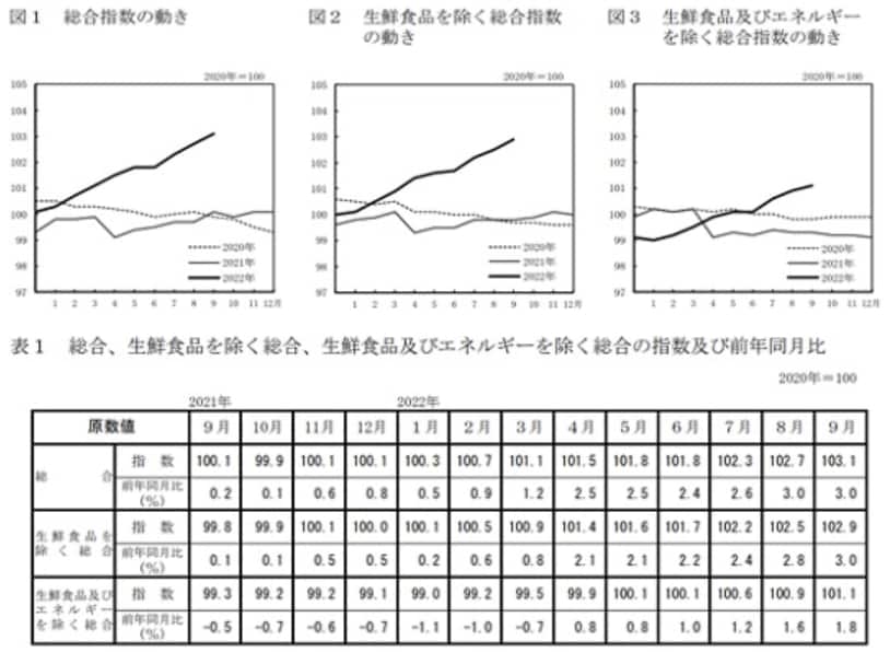 参考：総務省「2020年基準消費者物価指数　全国2022年(令和4年)9月分」