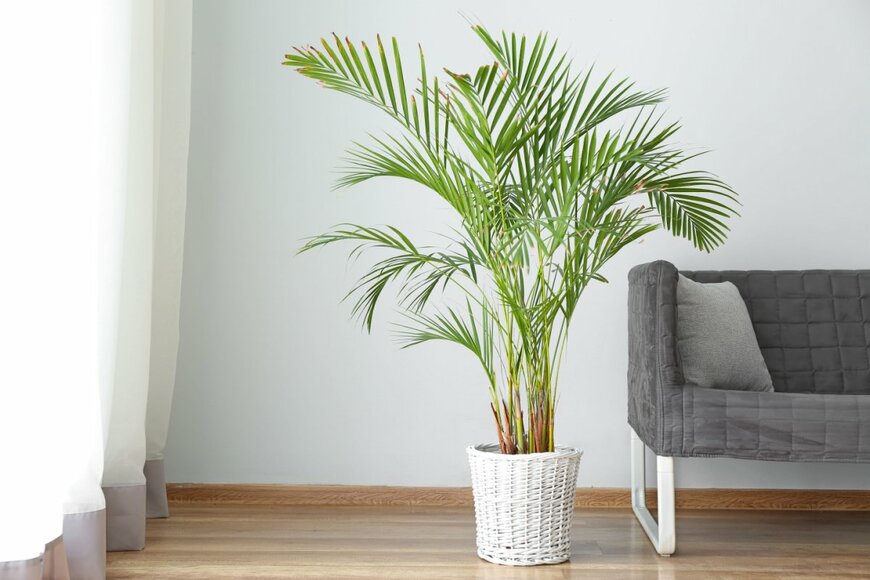 Pixel-Shot/shutterstock.com