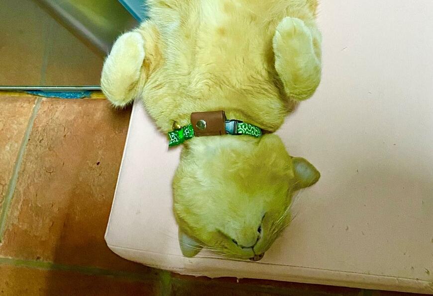 出所：@luna7taka9