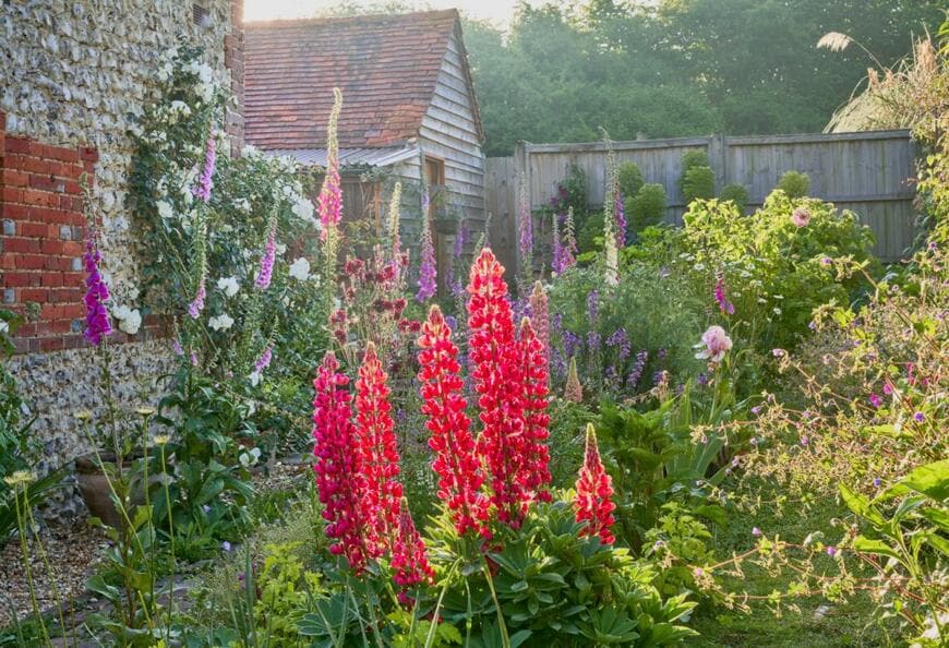 Matthew J Thomas/shutterstock.com