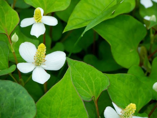 c11ygyg/shutterstock.com