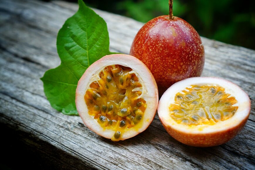 Whyoem/Shutterstock.com