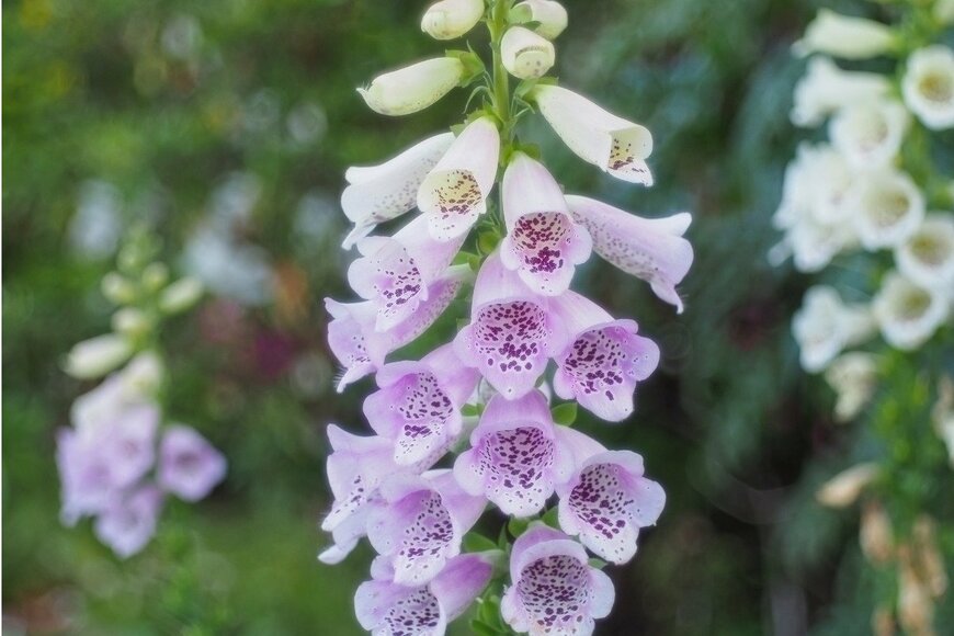 wisan224/istockphoto.com