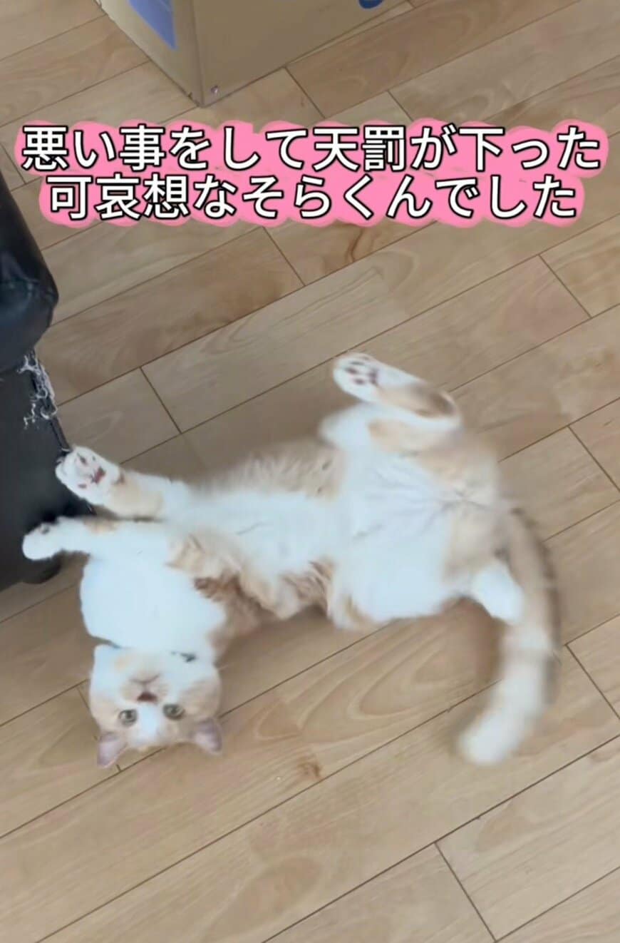 出所：@sorakai0905