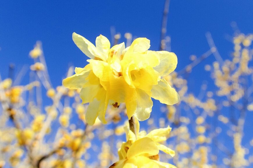 janken/shutterstock.com