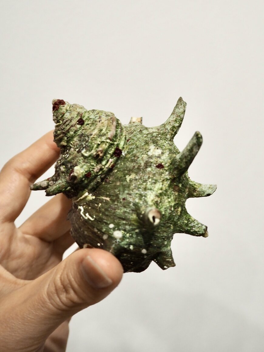 出所：@kaigaratoningyo