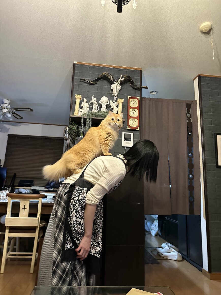 出所：@NEKOLAND13