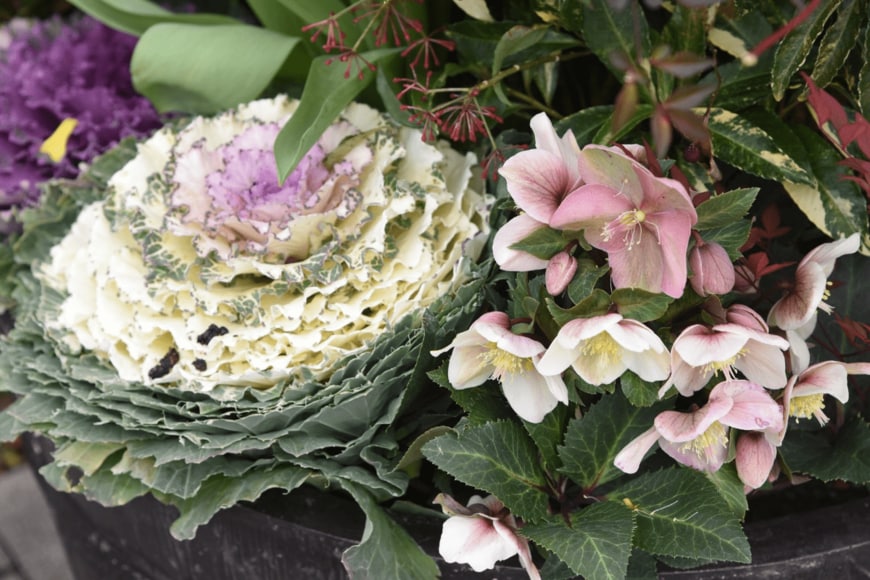 undefined undefined/istockphoto.com