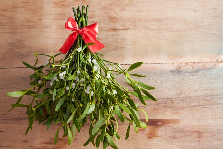 Oleksandr Rybitskiy/Shutterstock.com