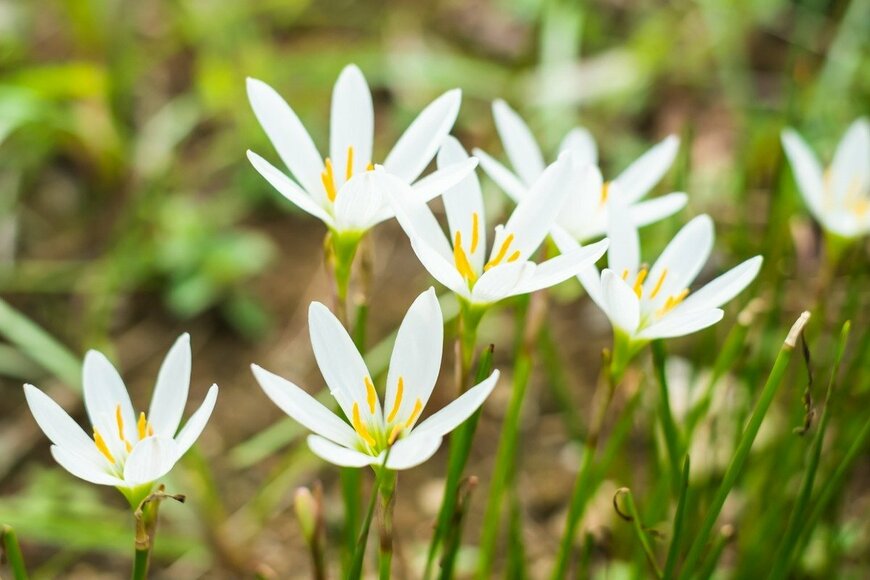 cottafoto/istockphoto.com