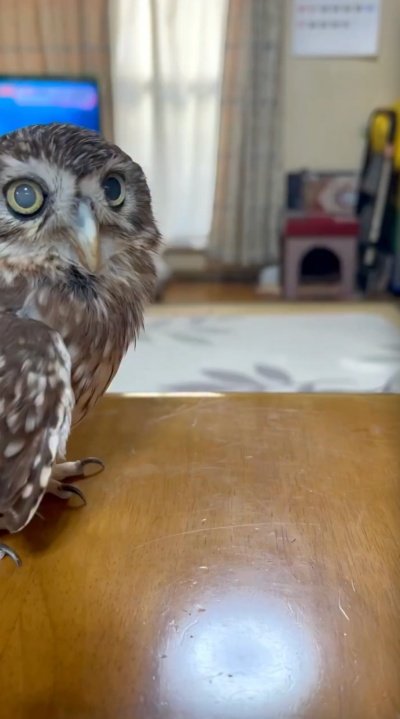 出所：@cr8673.hiro