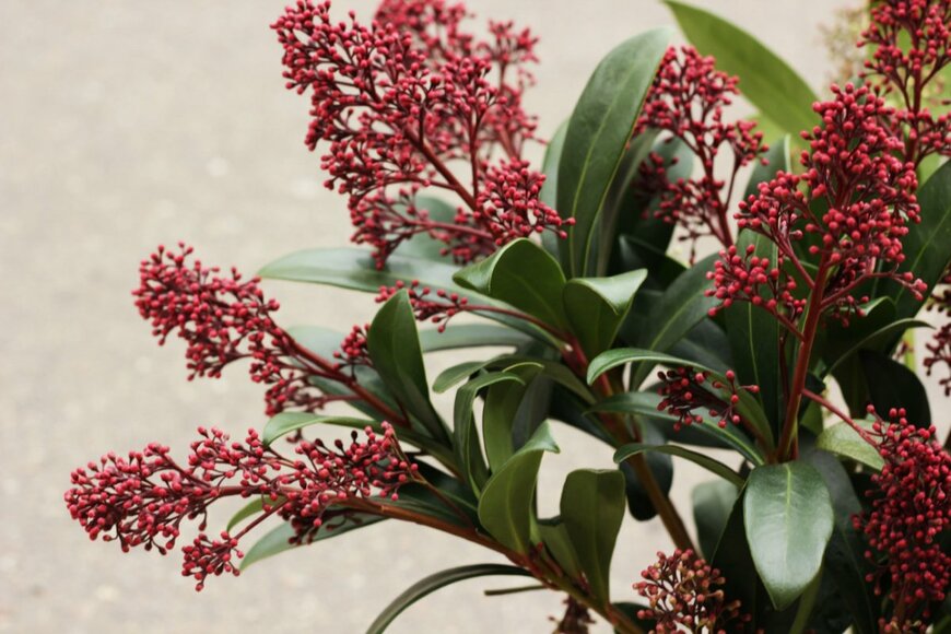 Totokzww/shutterstock.com