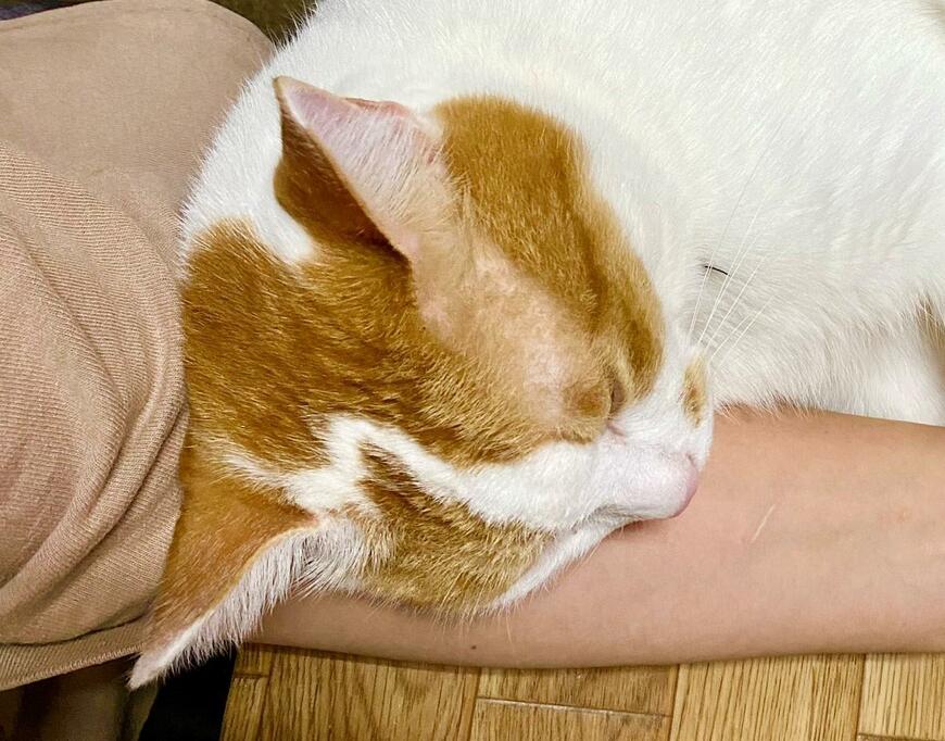 出所：@luna7taka9