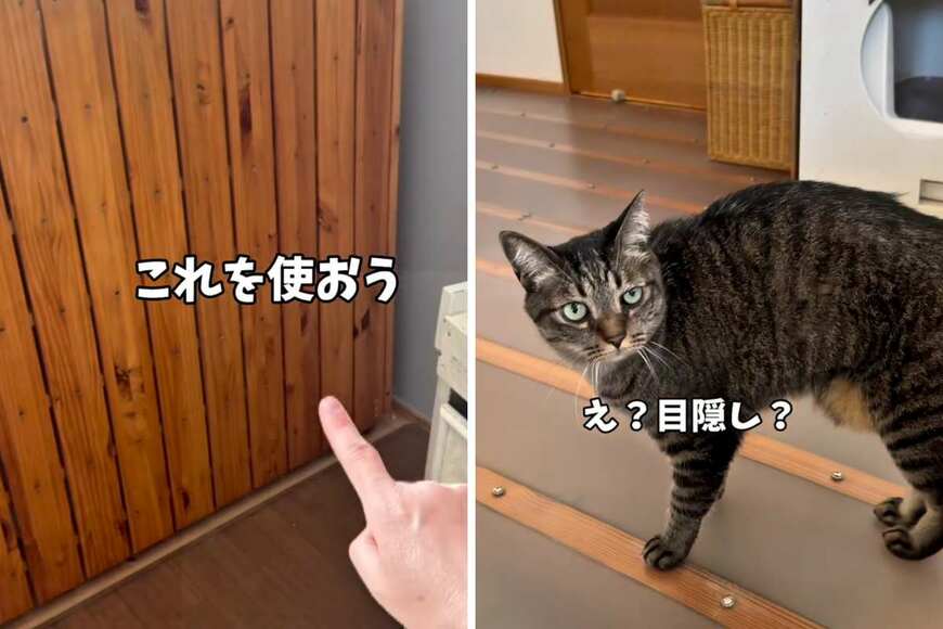 投稿の画像