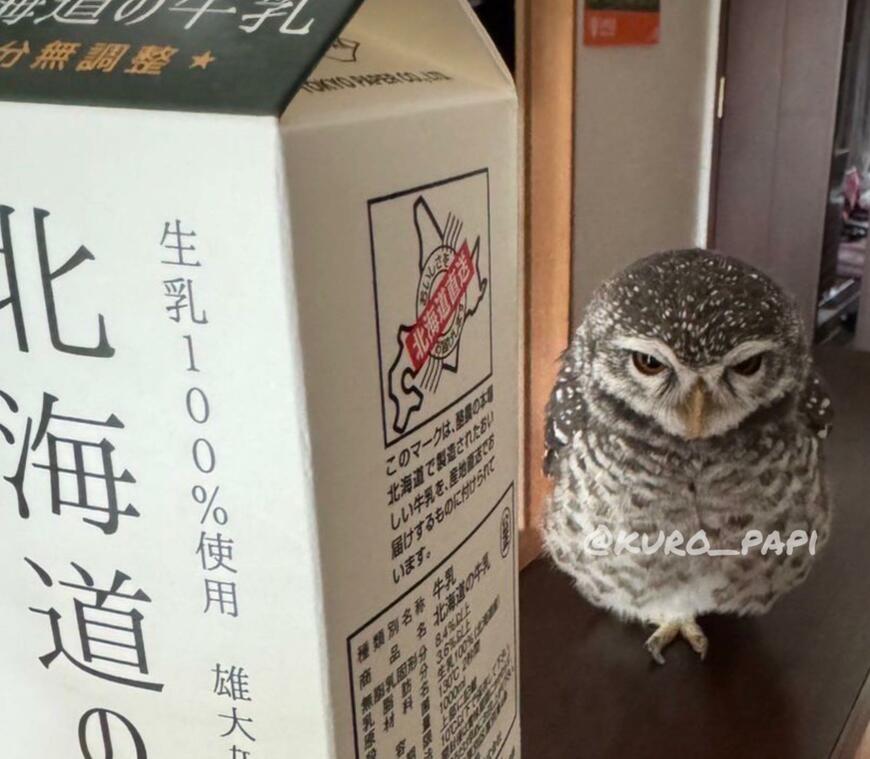 投稿写真のワンシーン