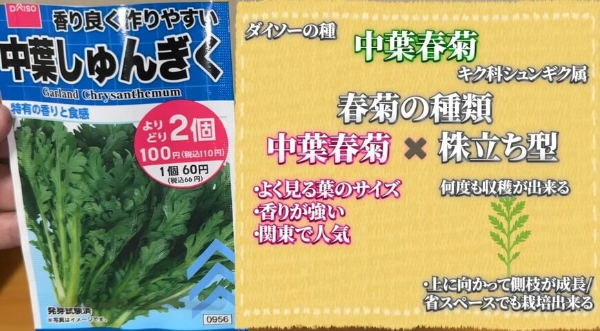 出所:@mikanbo-ya1987