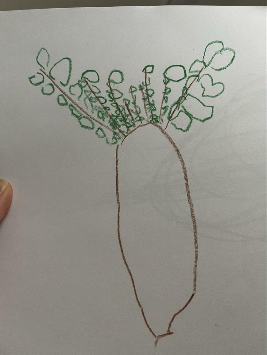 三歳児が描いた木の絵