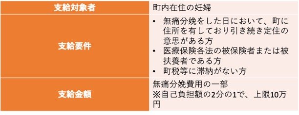 無痛分娩費用助成｜群馬県下仁田町