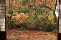 住職が「掃除の手を止めてしまった絶景」が話題　京都「高台寺岡林院」の庭の美しさに目を奪われてしまう