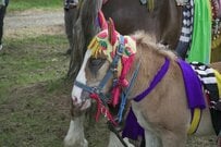 岩手県のお祭りをモチーフにした最中を購入　思わず目を引く形に「お土産にぴったり」「最中苦手でも食べられる」