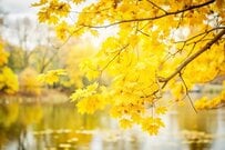 【年金生活者支援給付金】の申請期限はいつまで？過ぎても受け取れるのか