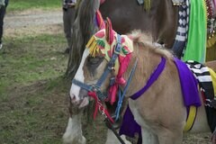 岩手県のお祭りをモチーフにした最中を購入　思わず目を引く形に「お土産にぴったり」「最中苦手でも食べられる」