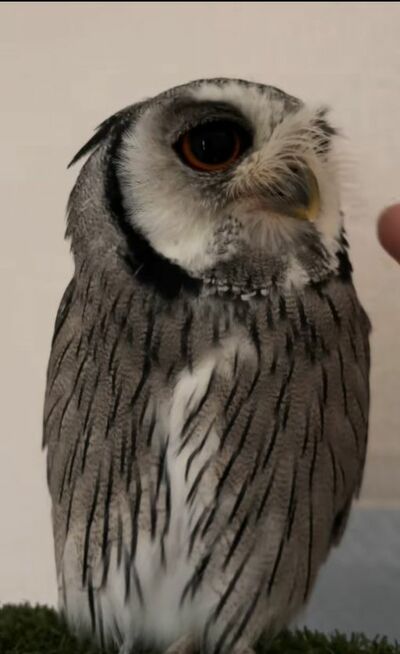 投稿動画のワンシーン