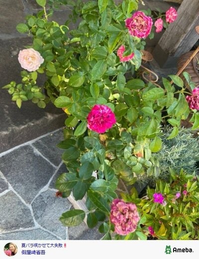 假屋崎省吾のAmebaブログ投稿