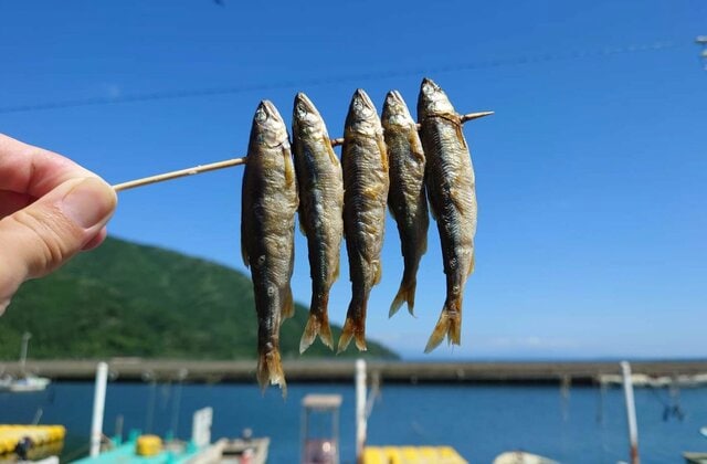 琵琶湖でとれた「塩焼きで食べる」とおいしすぎる魚　思わず食べたくなる一品に「この時期が来た」