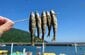 琵琶湖でとれた「塩焼きで食べる」とおいしすぎる魚　思わず食べたくなる一品に「この時期が来た」