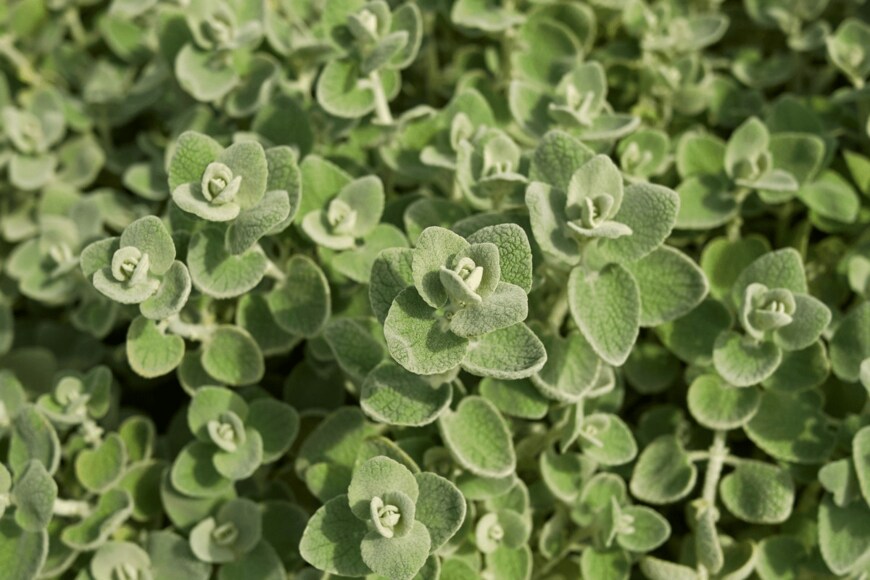 seven75/istockphoto.com