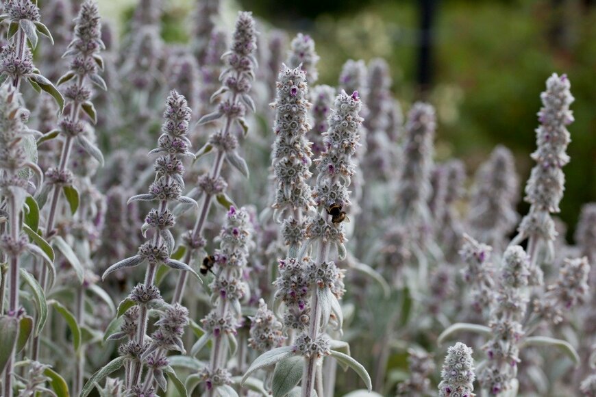 joannatkaczuk/istockphoto.com