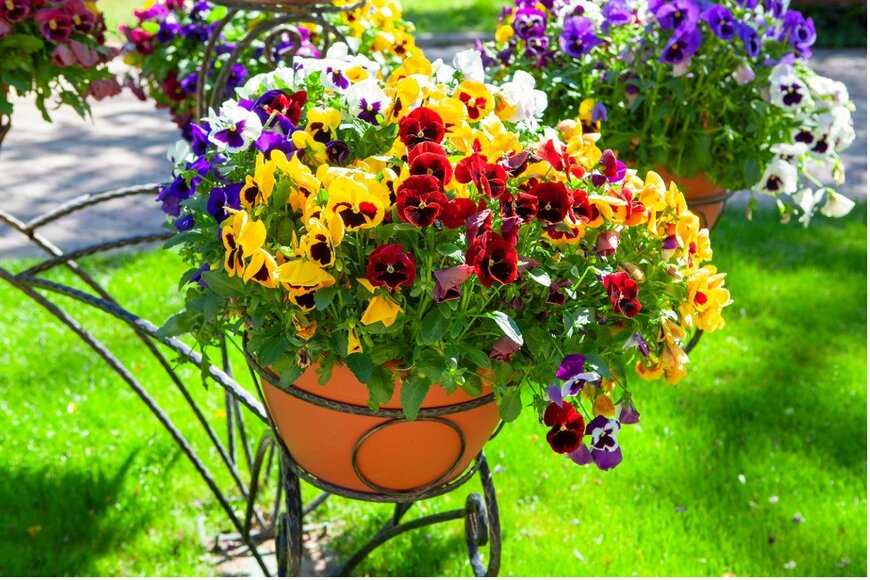 RussieseO/istockphoto.com