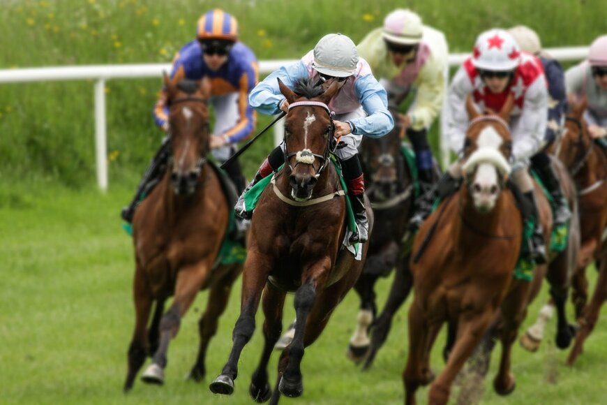 いよいよ有馬記念、競馬初心者でも楽しめるG1レースの楽しみ方６選