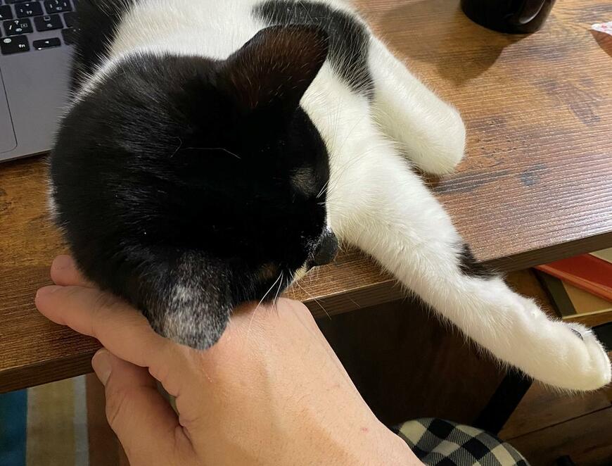 出所：@00shitemita