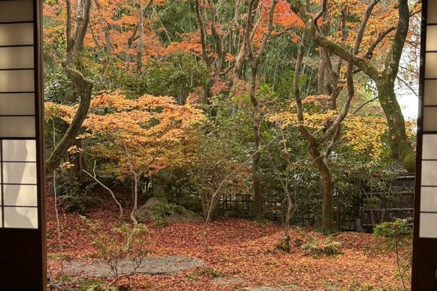 住職が「掃除の手を止めてしまった絶景」が話題　京都「高台寺岡林院」の庭の美しさに目を奪われてしまう