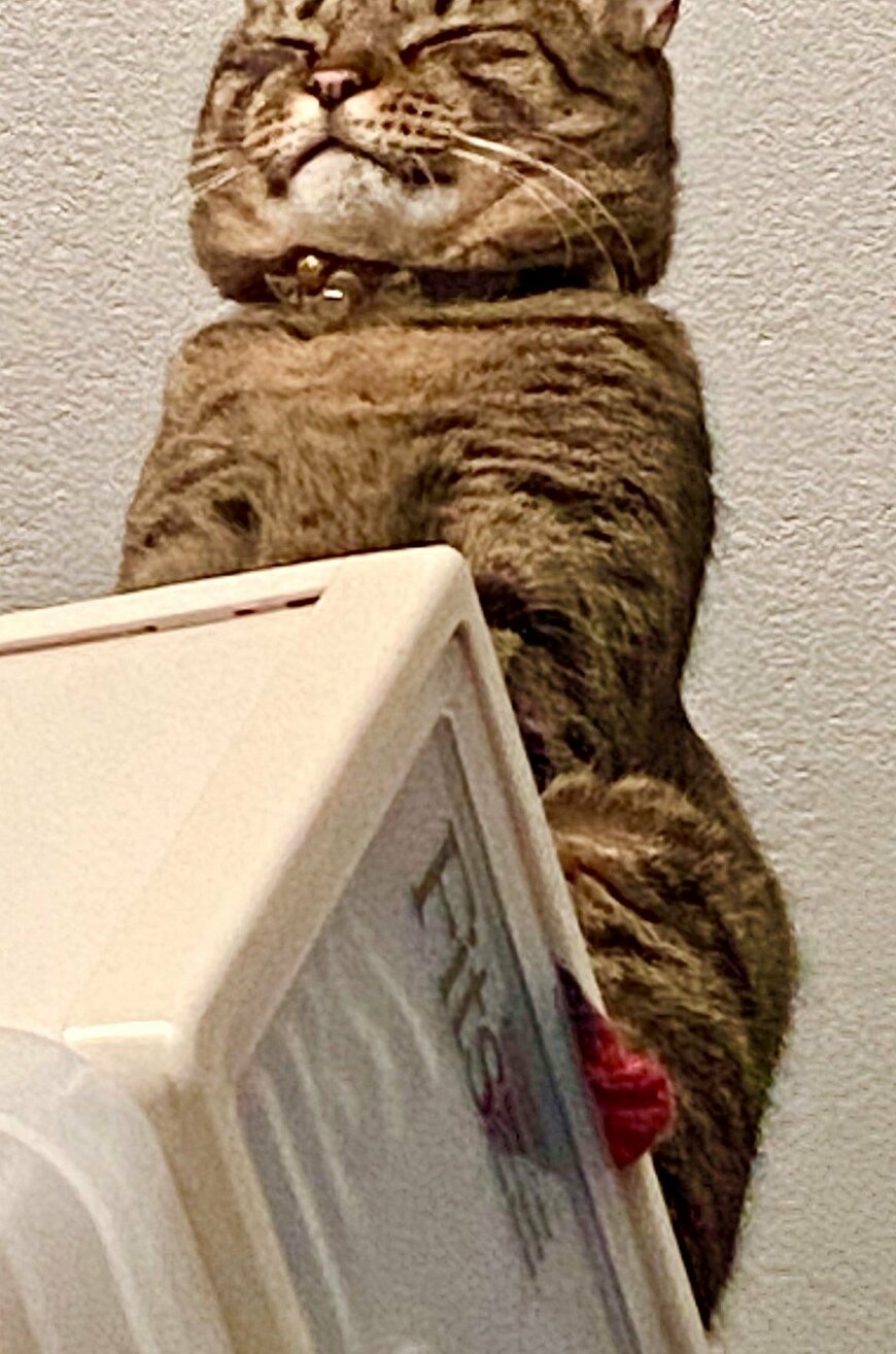 出所：@luna7taka9