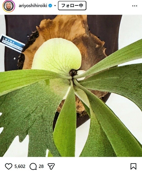 出所：有吉弘行のInstagram（＠ariyoshihiroiki）　参照日：2026年3月17日
