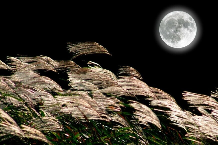 gyro/istockphoto.com