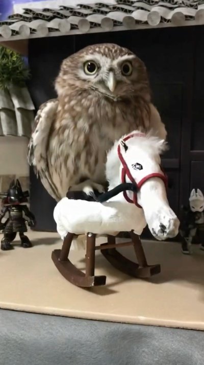 出所：@cr8673.hiro