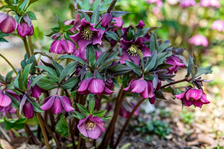 Billy_Fam/istockphoto.com