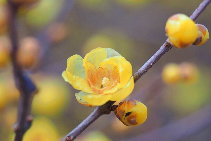 oasis2me/istockphoto.com