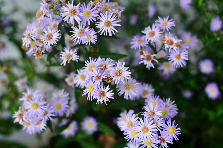 Rendy Chuang/istockphoto.com