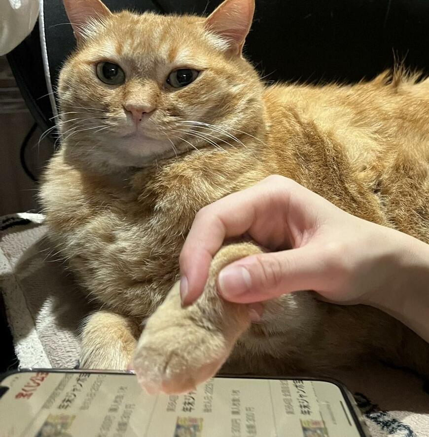 出所：@kagisuzu0531