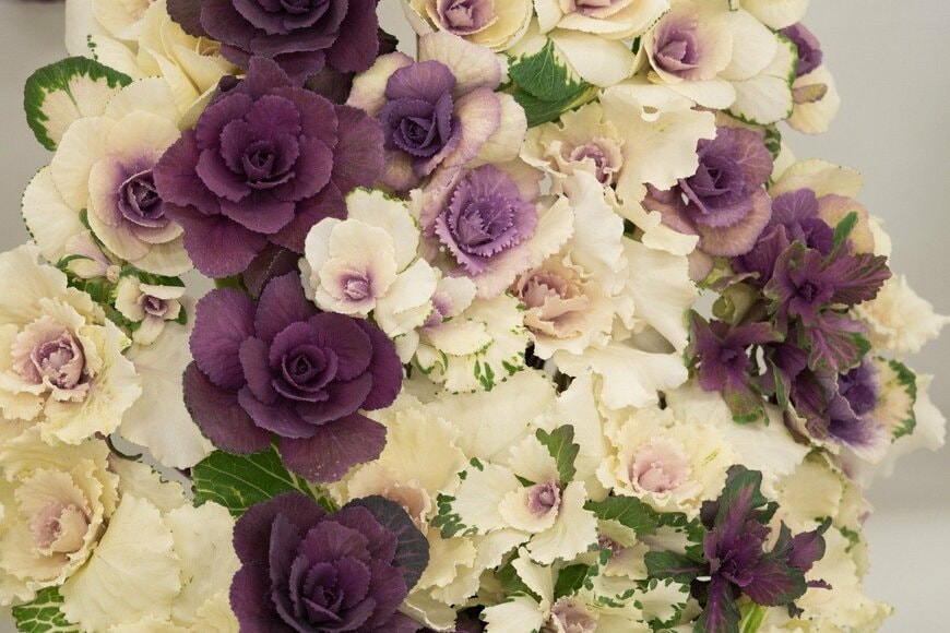 y-studio/istockphoto.com