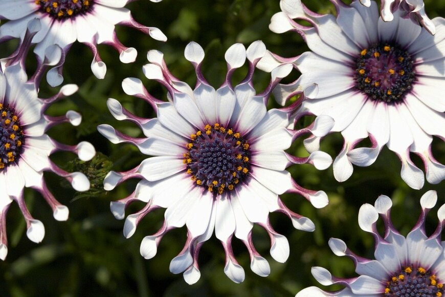 gyro/istockphoto.com